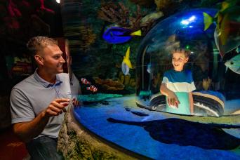 La roue et l'aquarium SEA LIFE d'Orlando