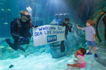 Combo Madame Tussauds et SEALIFE Orlando