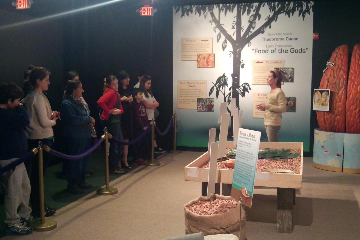 Chocolate Kingdom Factory Tour Orlando