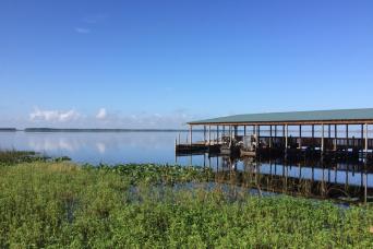Airboat de 30 minutes en Floride sauvage sans transport