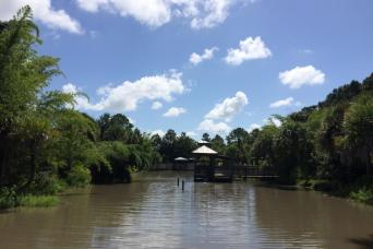 Airboat de 30 minutes en Floride sauvage sans transport