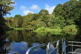 Airboat d'une heure en Floride sauvage sans transport