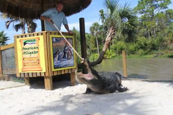 Floride : forfait aventure en Floride sauvage