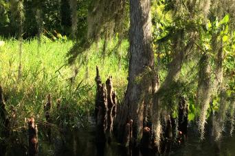 Floride : forfait aventure ultime en Floride sauvage