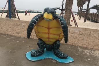 Clearwater Beach Bus Express