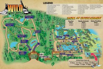 Everglades Floride centrale et parc Safari  : visite ultime