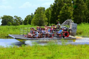 Everglades Floride centrale et parc Safari  : visite ultime