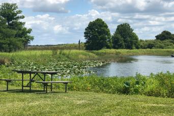 Promenade en hydroglisseur d'une heure à Boggy Creek - BILLET UNIQUEMENT