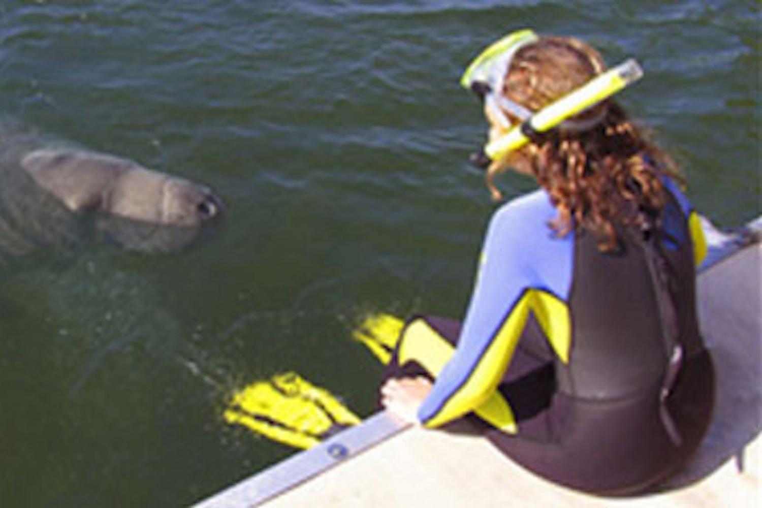 Manatees Swim, Snorkel and Boat Day Tour from Orlando Orlando