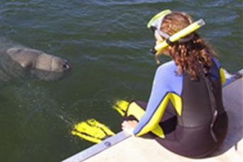 Nage des lamantins, plongée avec tuba et excursion en bateau au départ d'Orlando