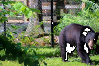 Nagez avec les lamantins, le parc animalier et le hydroglisseur