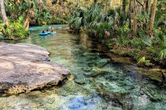 Rock Springs River Tubing & Apopka Wildlife Adventure with Hotel Pickup