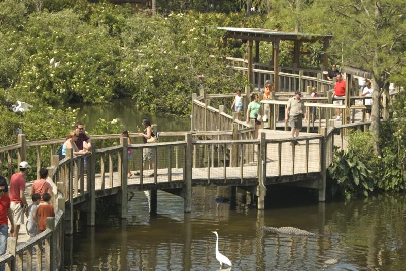 Gators, Gators, Gators! Airboat Ride and Gatorland Park Combo