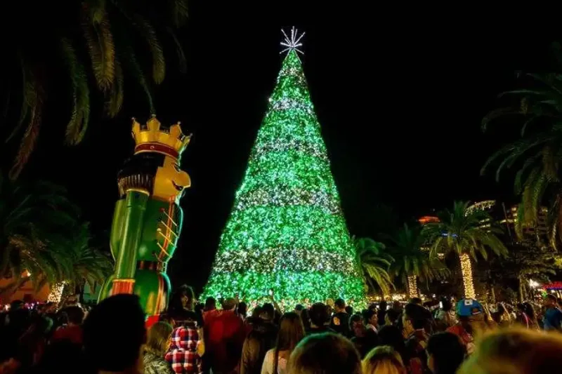 The Lake Eola Tree has a light show -Photo credit to City of Orlando