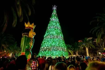 Snow, Ice & Lights - Holiday Celebrations Orlando Style!