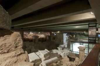 Cathedrale Notre Dame: tournée guidée et crypte