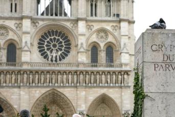 Cathedrale Notre Dame: tournée guidée et crypte
