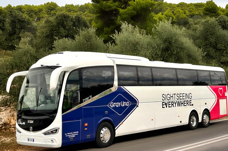 Rome–Naples Port Shuttle Service: One Way or Roundtrip