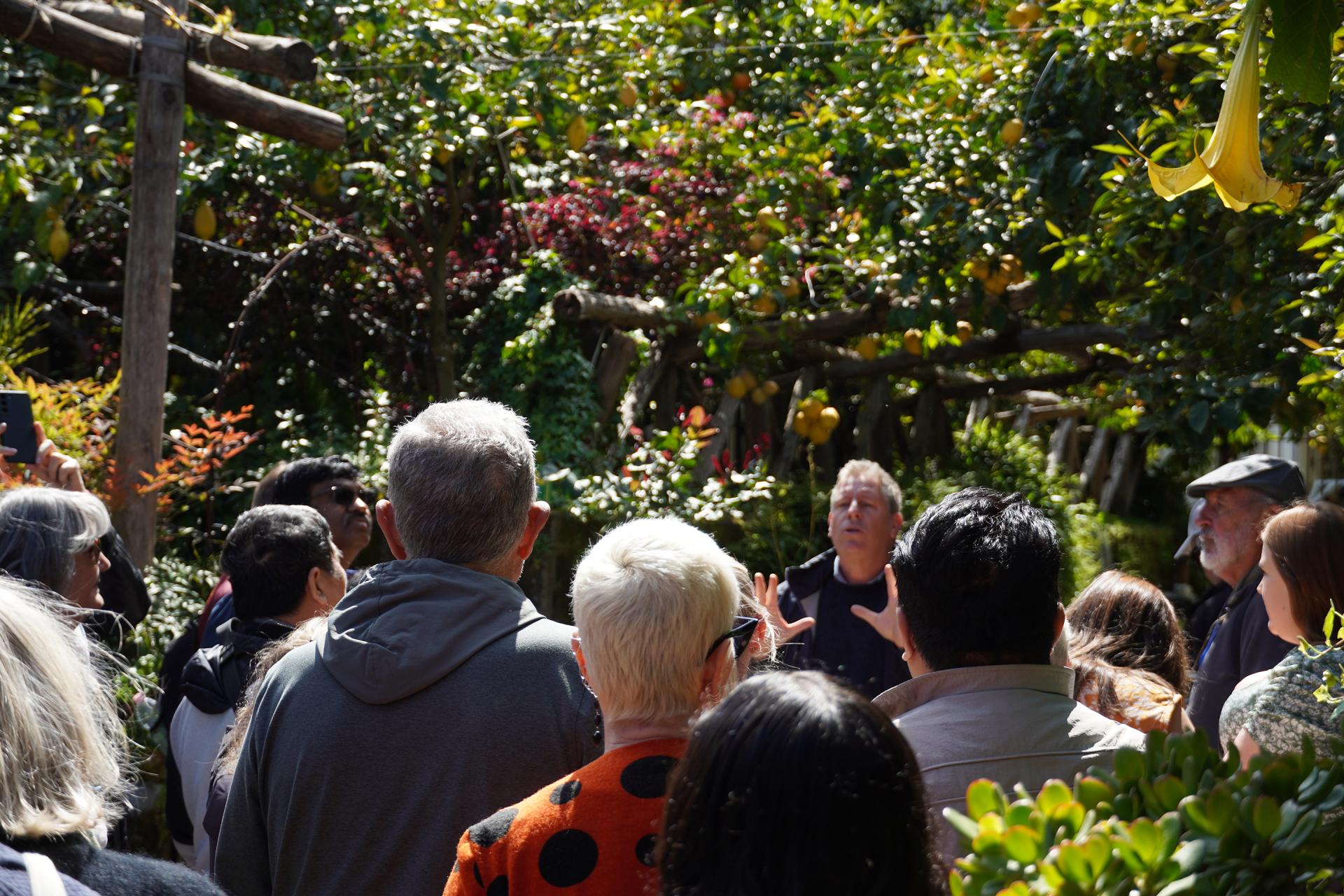 Coastal Beauty & Ancient Ruins: Sorrento & Pompeii Day Tour