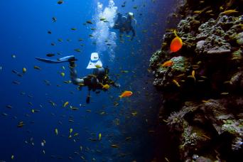 Dubai Attraction: Bermuda Diving Center