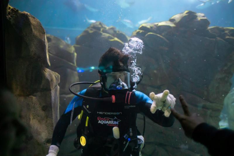 Scuba Diving Tour in Dubai Experience