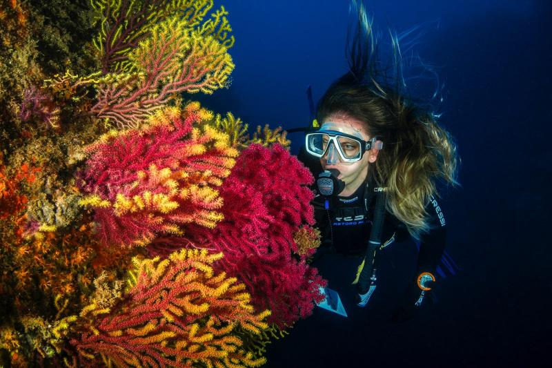 Explore the region’s awe-inspiring marine world during your Dubai vacation