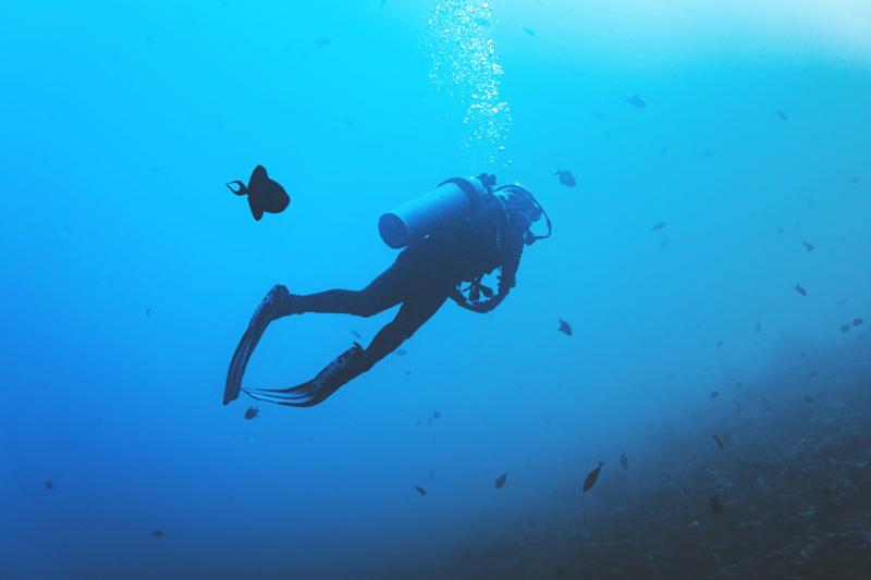 We offer a bespoke diving packages for both seasoned divers and those who wish to learn scuba diving