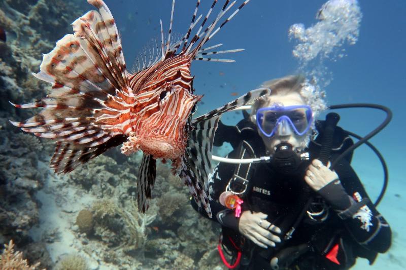 Scuba diving Dubai tour introduces you to the mysterious underwater charm like no other