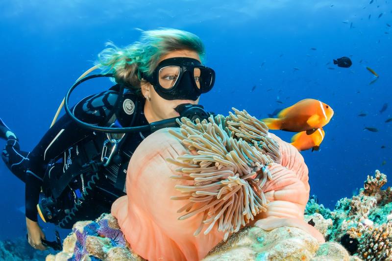 Witness beautiful sea reefs underwater of Dubai Gulf