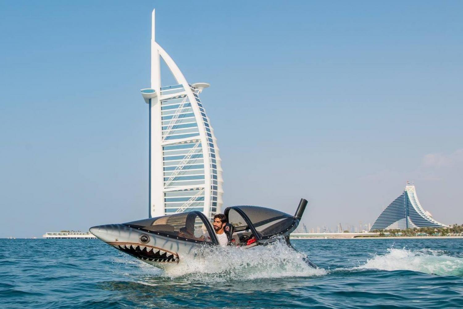 Seabreacher in Dubai Dubai