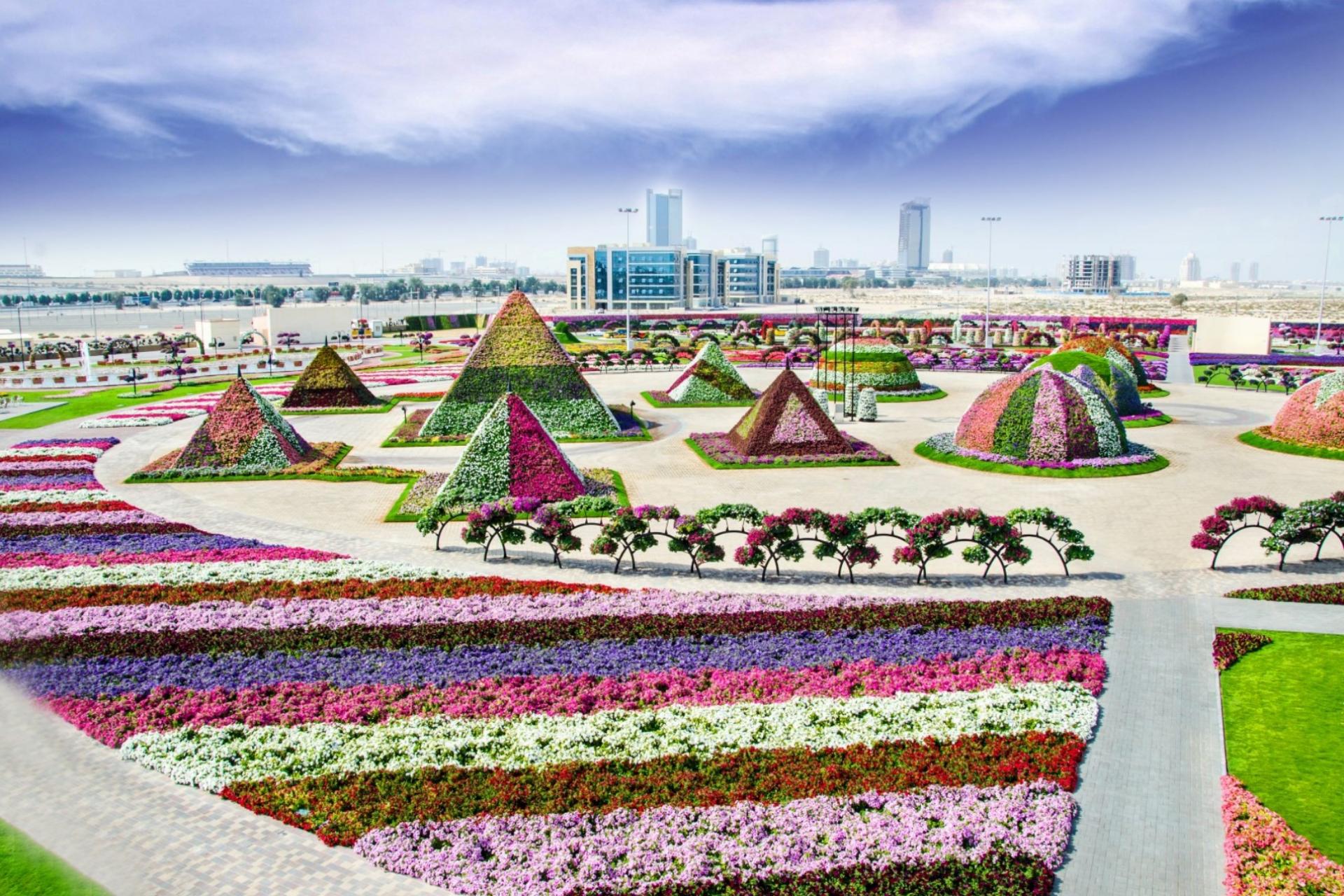 Miracle Garden: Flora & Fauna Tour: Butterfly Garden | Miracle Garden| **Entrance fees to Miracle Garden & Butterfly Garden** **Pick-up/drop-off service**