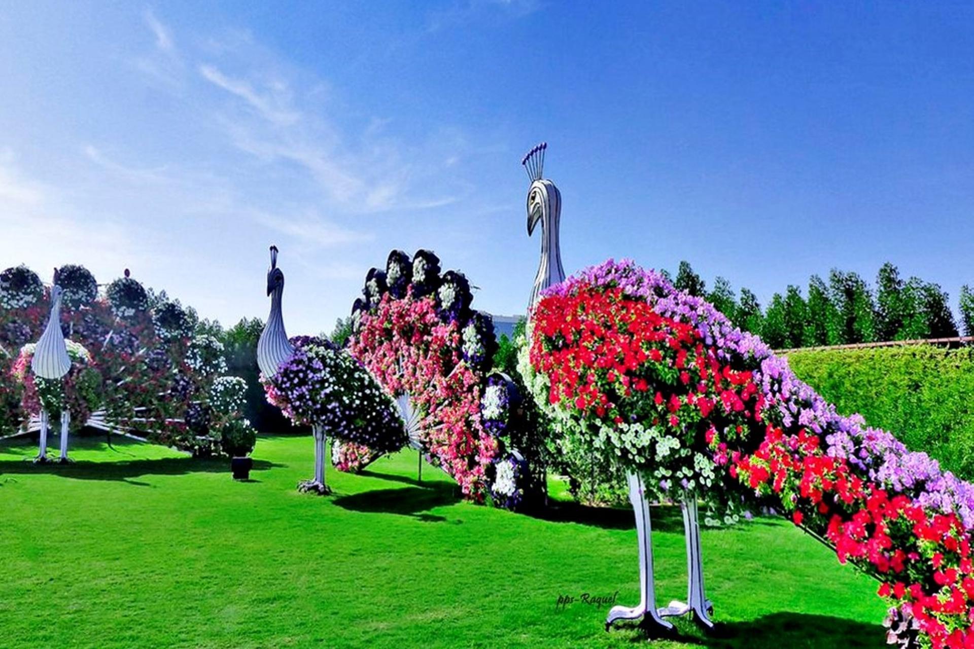 Miracle Garden: Flora & Fauna Tour: Butterfly Garden | Miracle Garden| **Entrance fees to Miracle Garden & Butterfly Garden** **Pick-up/drop-off service**