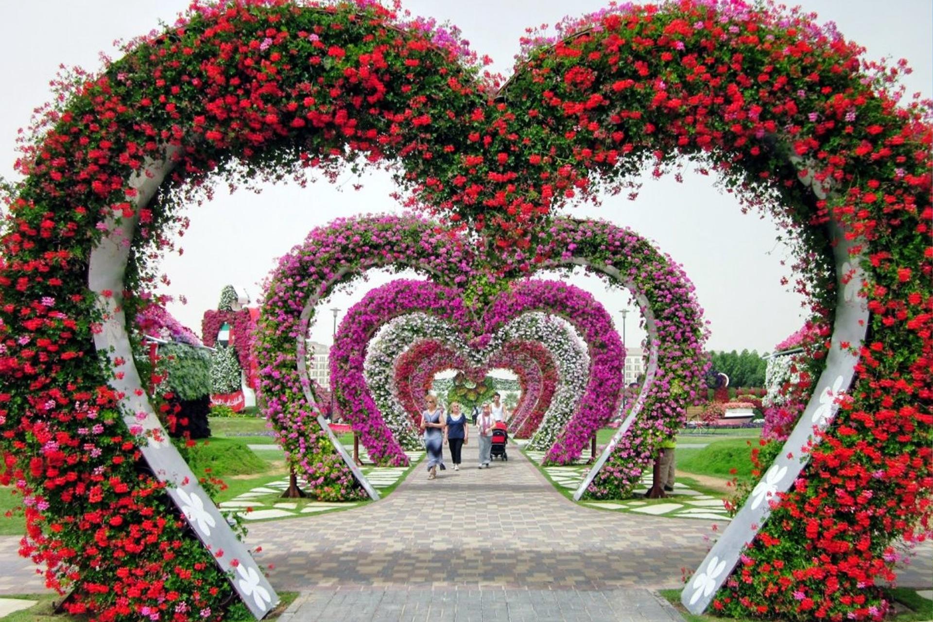 Miracle Garden: Flora & Fauna Tour: Butterfly Garden | Miracle Garden| **Entrance fees to Miracle Garden & Butterfly Garden** **Pick-up/drop-off service**