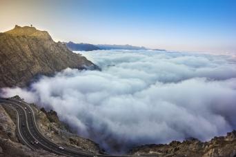 Explore Taif: A Full-Day Journey with lunch