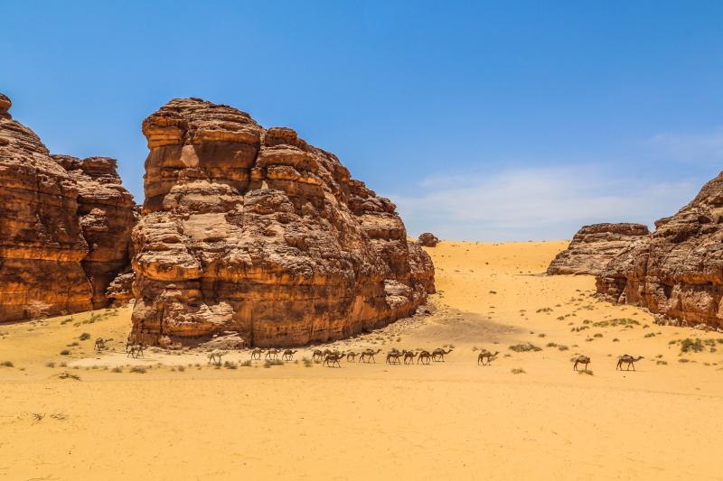 Our visit will be followed by a lunch before we head towards Jibal Al-Rukkab & Leopard trail