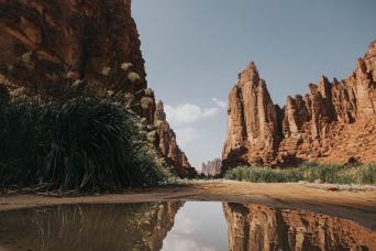 Full Day Dissah Tour from AlUla