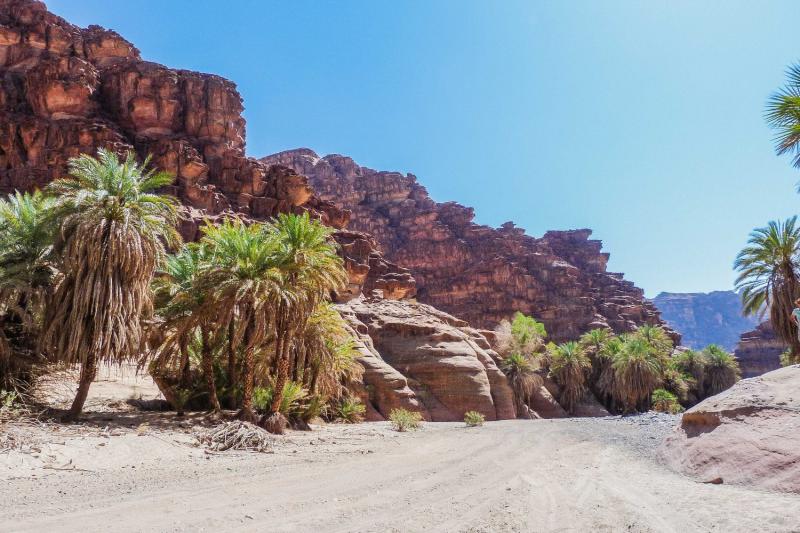 Head to Wadi Qaraqir for a full day tour