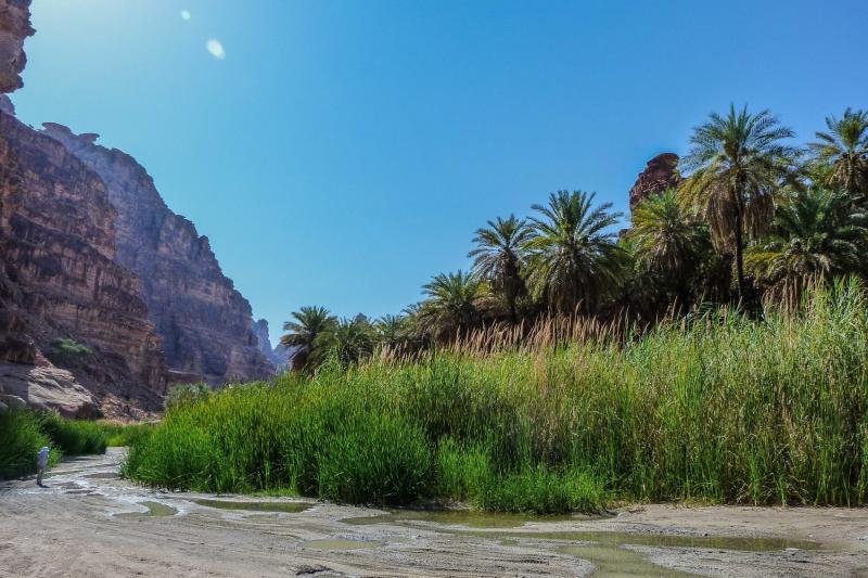 We will drive deeper inside this staggering canyon to enjoy its greenery