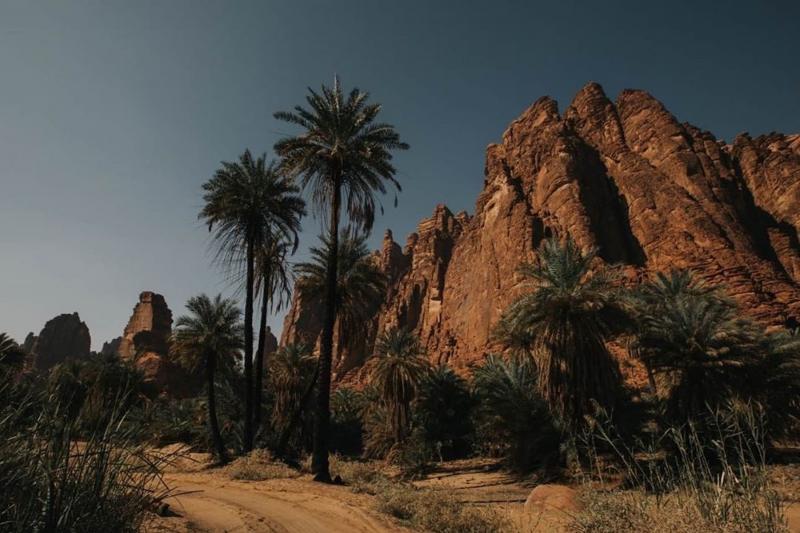 Numerous palm trees and bushes, flourishes in between the majestic cliffs of the canyon