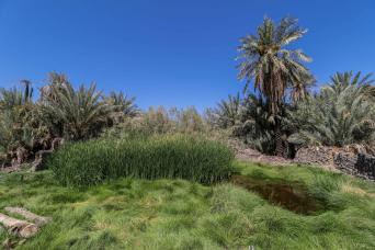 Excursion d'une journée à Khaybar au départ d'Al-'Ula