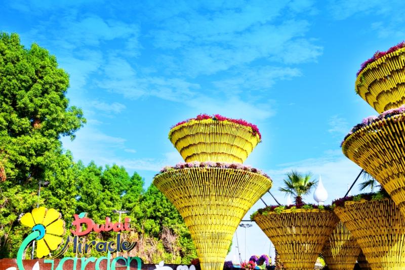Dubai Attraction: Dubai Miracle Garden & Butterfly Garden