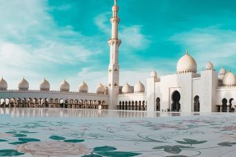 Visite de la ville et du monde marin d'Abu Dhabi au départ d'Abu Dhabi