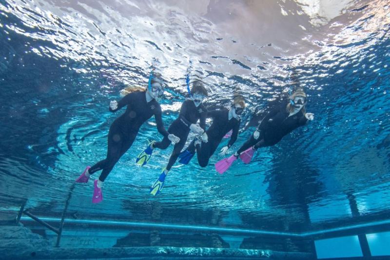Dubai Attraction: Deep Dive Dubai