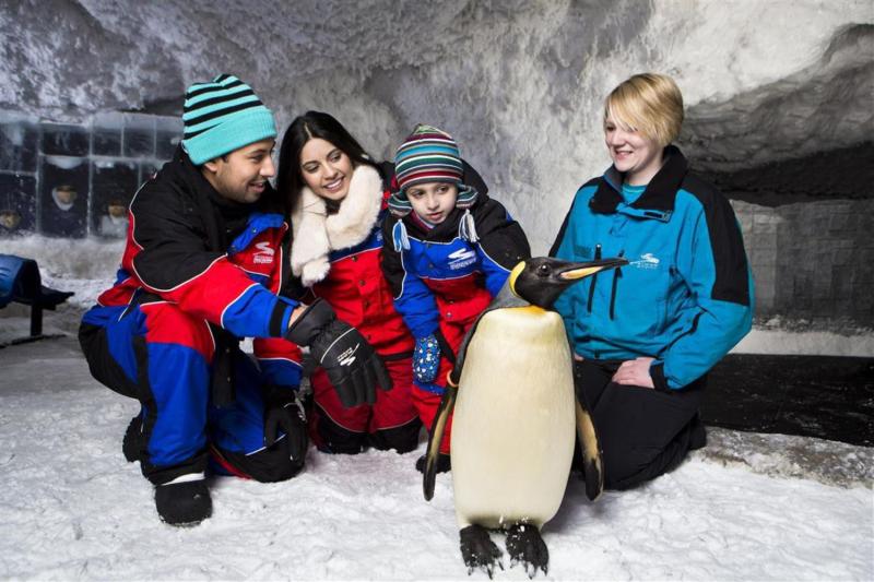 Dubai Attraction: Ski Dubai