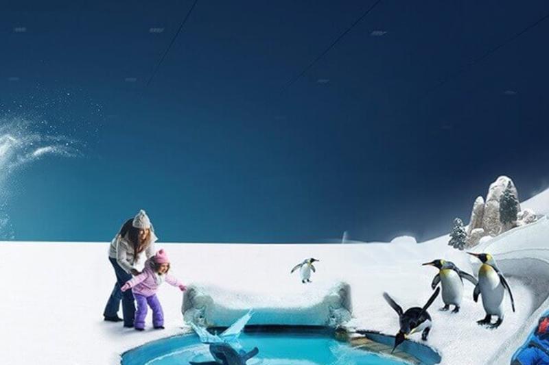 Dubai Attraction: Ski Dubai