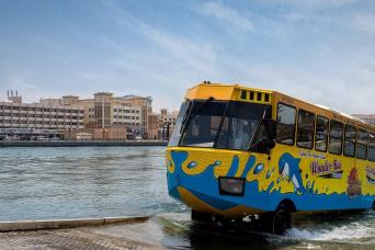 Visite en bus des merveilles à Dubaï