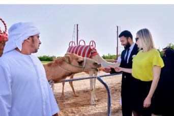 Visite du village chameau de Dubaï