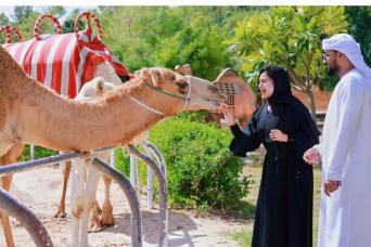 Visite du village chameau de Dubaï