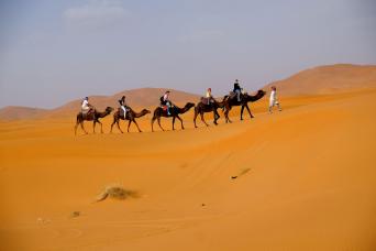 Promotion : safari avec tour gratuit à Sharjah
