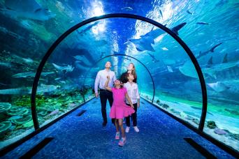 Promotion : Aquarium national et tour gratuit d'Abou Dabi